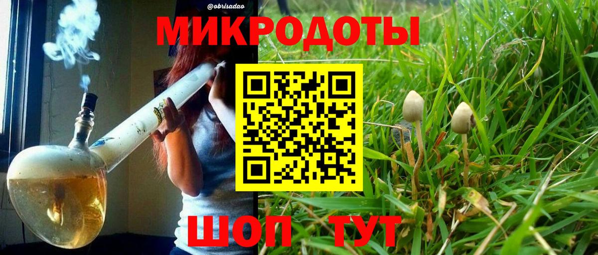 Псилоцибиновые грибы мицелий  Вход с VPN  Галлюциногенные грибы GOLDEN TEACHER  Рязань 