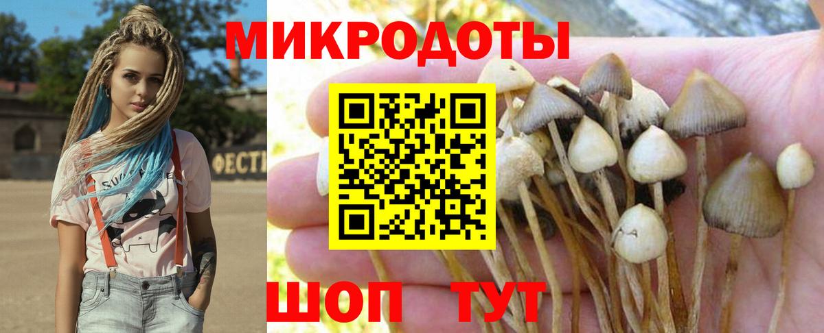 Галлюциногенные грибы GOLDEN TEACHER Рязань